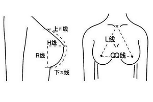 完美的胸部都有哪些标准呢?