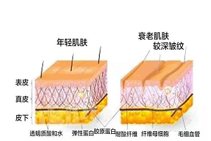 面部衰老最先从哪几个部位开始呢